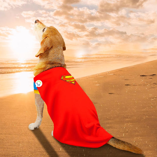 Disfraz Mascotas Súper Man GD01SUPERM