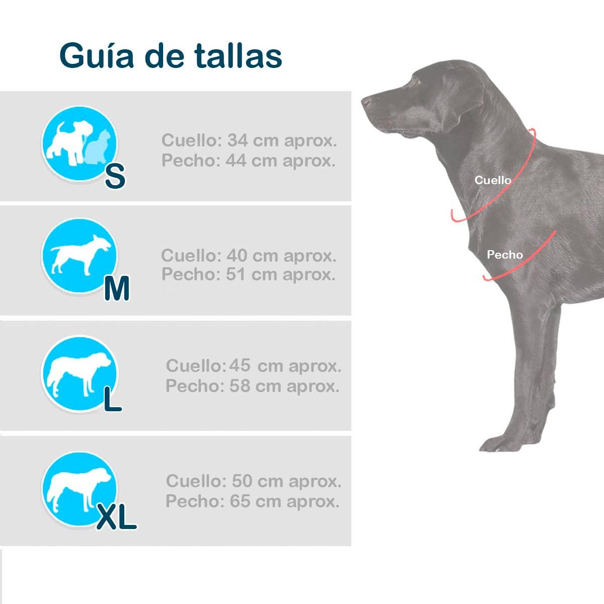 Disfraz Para Mascotas Murcielago DMM-02
