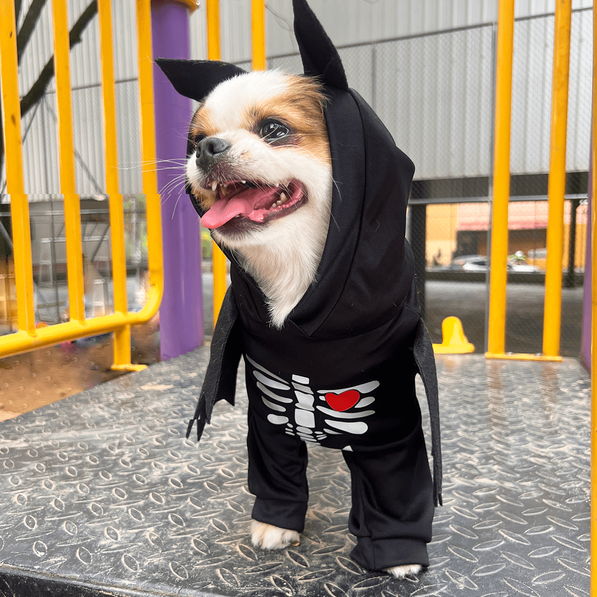 Disfraz Para Mascotas Murcielago DMM-02