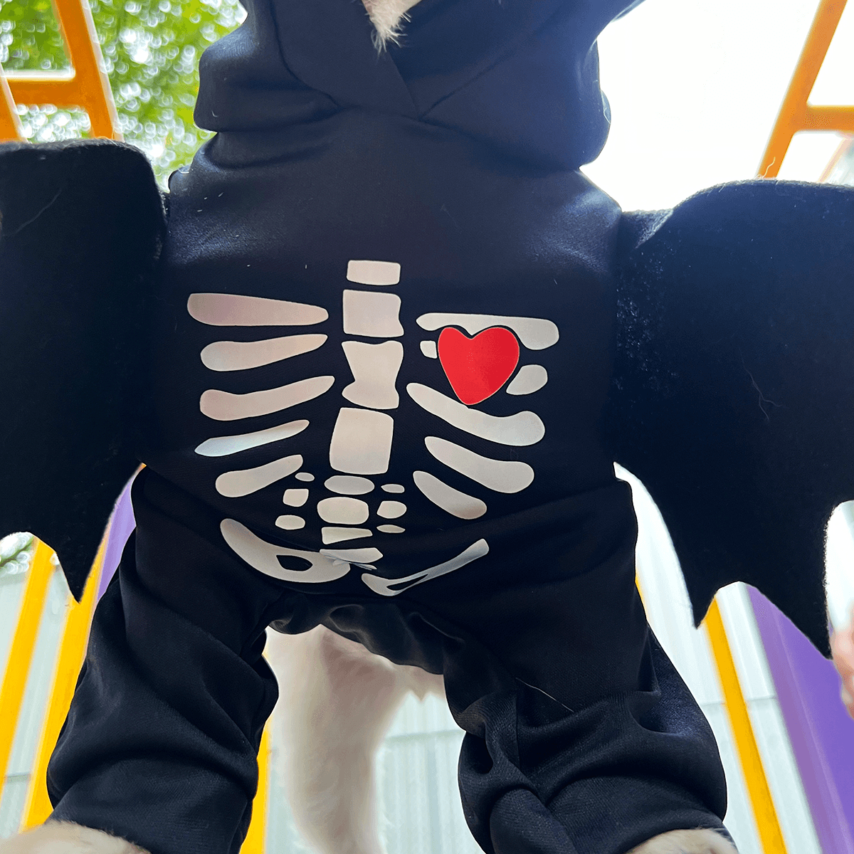 Disfraz Para Mascotas Murcielago DMM-02