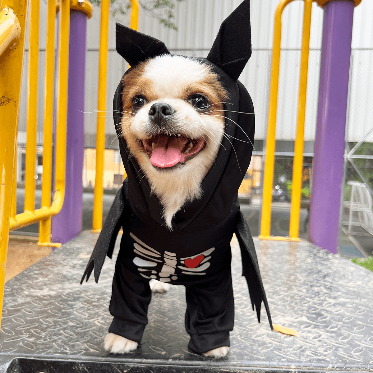 Disfraz Para Mascotas Murcielago DMM-02