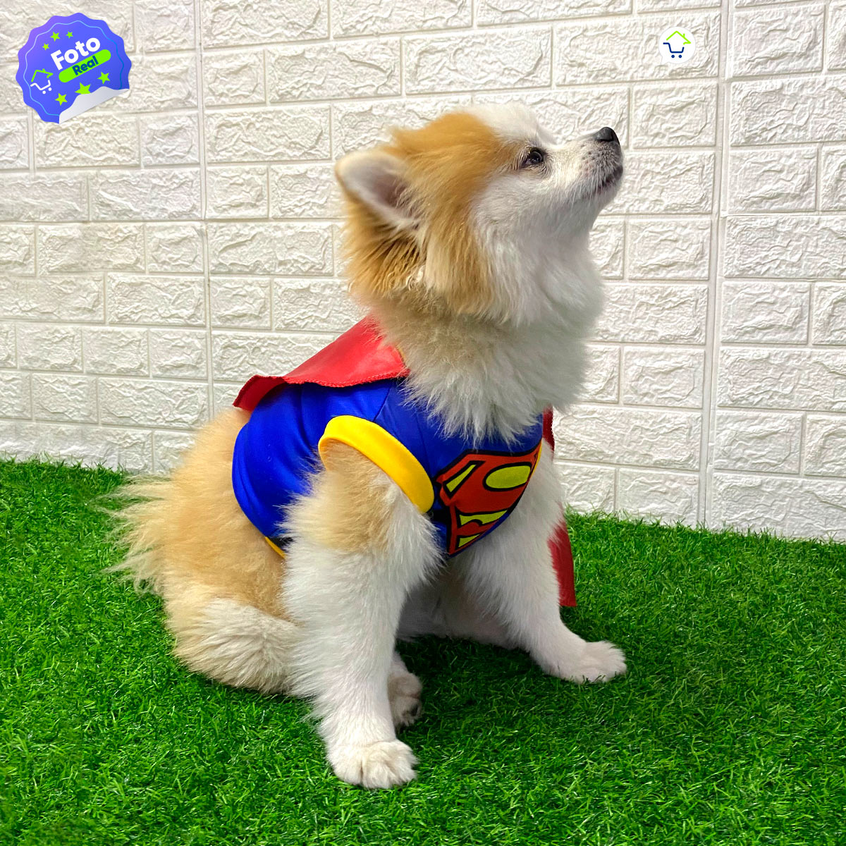 Disfraz Mascotas Súper Man GD01SUPERM
