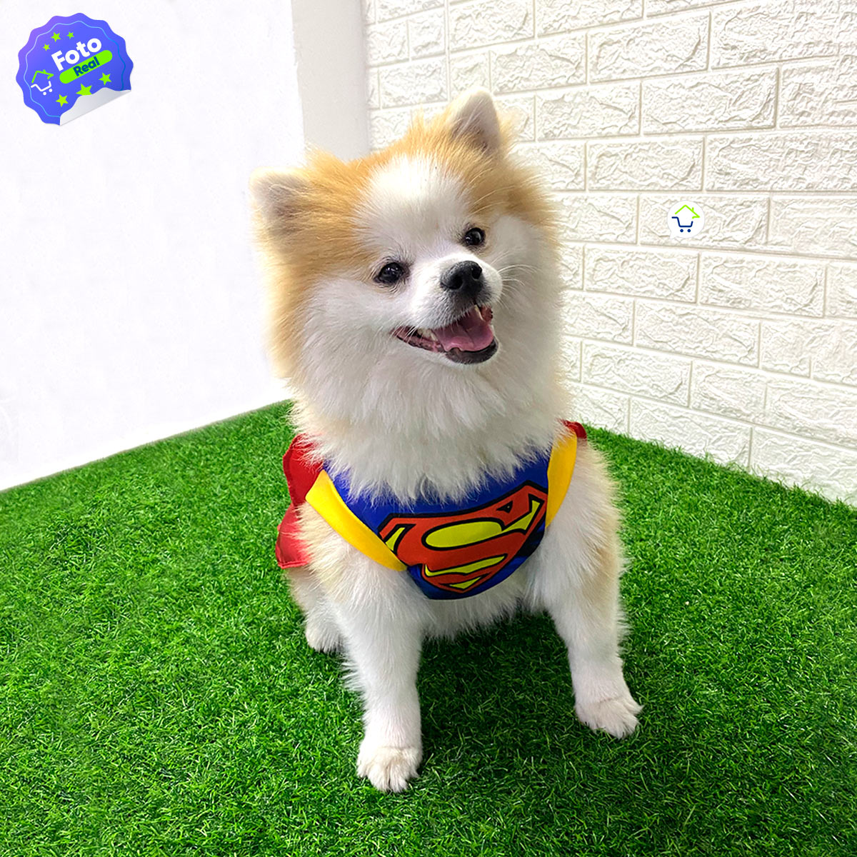 Disfraz Mascotas Súper Man GD01SUPERM