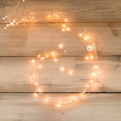 Luz Ramal Micro LED Navidad 15/YX